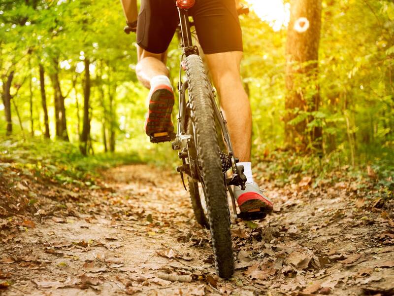 Eine Person fährt auf einem Mountainbike durch einen sonnendurchfluteten Waldweg mit Laub auf dem Boden.