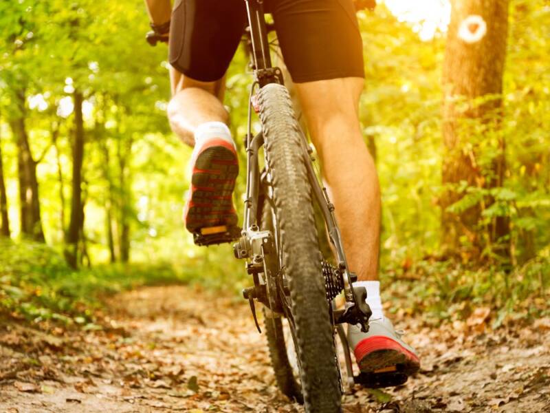 Eine Person fährt auf einem Mountainbike durch einen sonnendurchfluteten Waldweg mit Laub auf dem Boden.