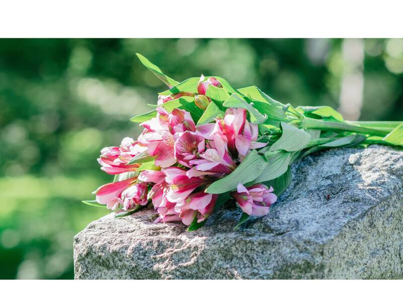 Ein paar rosafarbene Blumen liegen auf einem grauen Stein vor grünem Hintergrund.