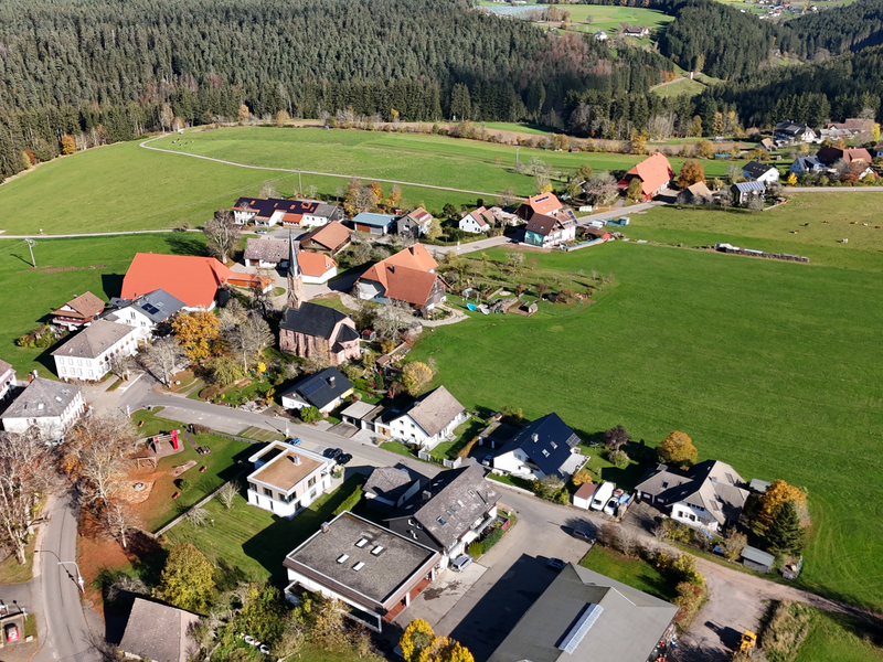 Luftaufnahme eines kleinen Dorfes mit roten Dächern, umgeben von grünen Wiesen und Wäldern.