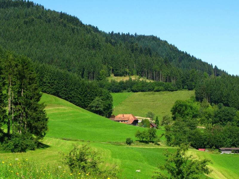 Grüne Landschaft mit dunklen Tannenwaldflächen und in der der Ferne ein Bauernhaus.