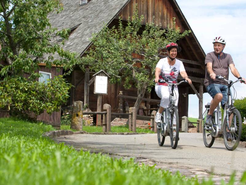 Zwei Menschen fahren lächelnd auf Fahrrädern eine Landstraße entlang, vorbei an einem rustikalen Holzhaus und Bäumen.